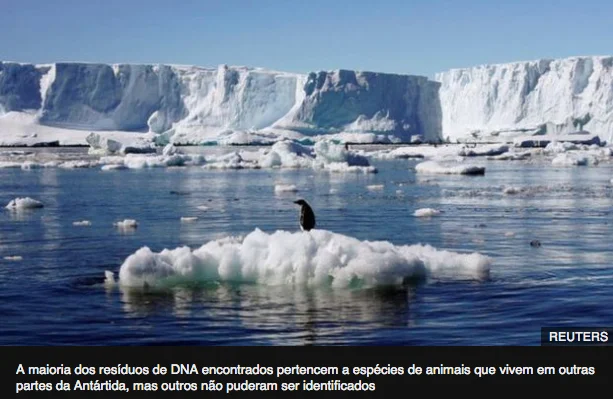imagem de iceberg no post Plantas e animais na Antártica