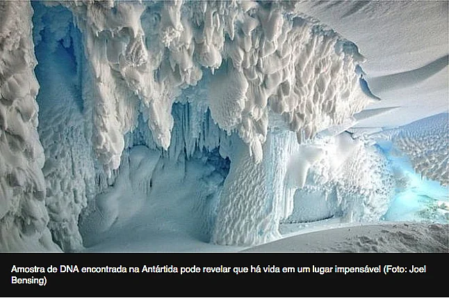 imagem de caverna na Antártica para o post Plantas e animais na Antártica