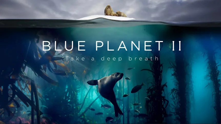 imagem de vida marinha do documentário, Blue Planet II