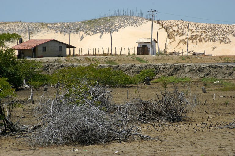 imagem de dunas cobertas de palha no Litoral do Ceará