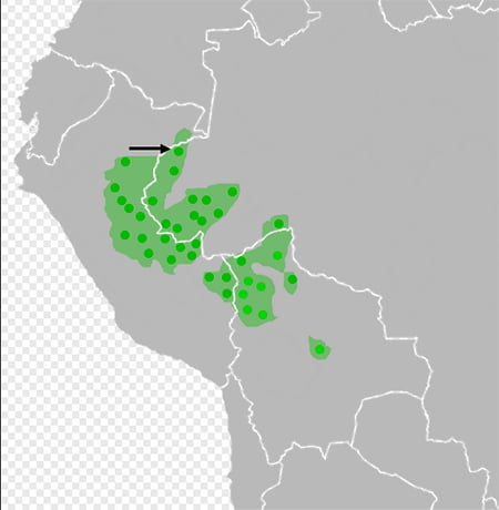 mapa com localização da Reserva Indígena Matsés