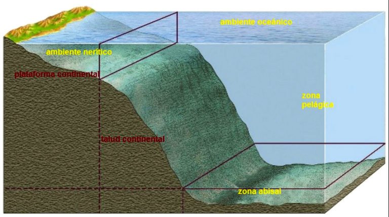Imagem de gráfico mostrando as zonas pelágicas no mar