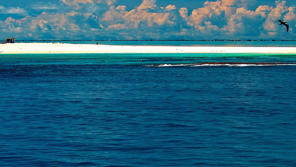 imagem do atol das Rocas