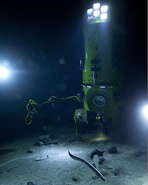 imagem do Deepsea Challenger, na Fossa das Marianas