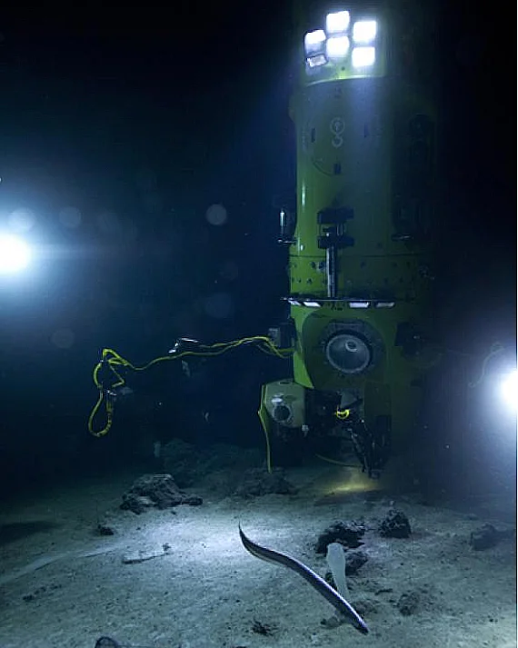 Fossa das Marianas: o abismo mais profundo dos oceanos