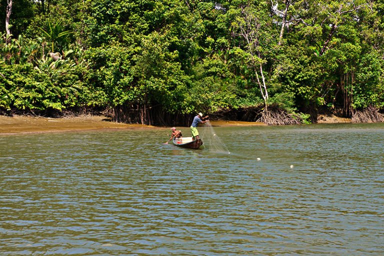 imagem da pesca artesana,l e seus malefícios em rio do Pará