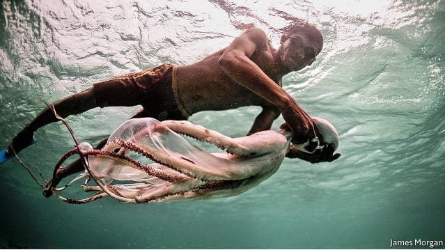 imagem do Povo de Bajau mergulhadores