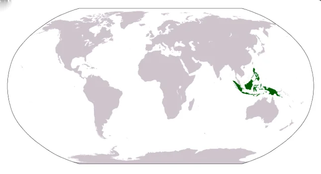 imagem de mapa da malásia