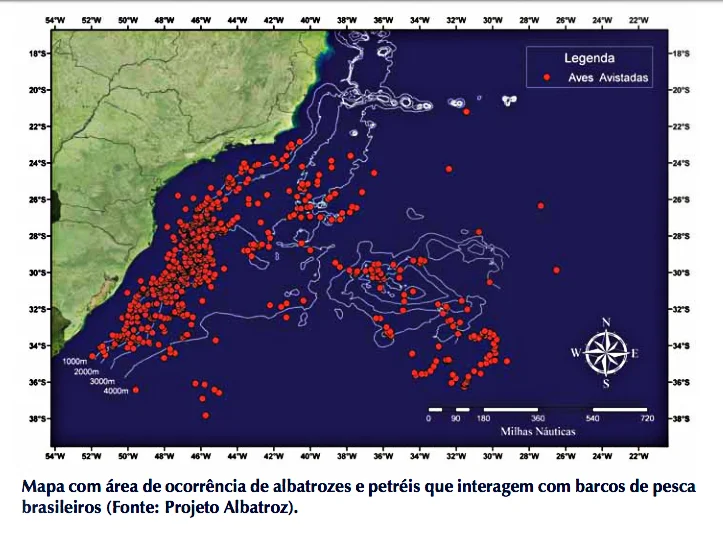 mapa mostra interação de aves marinhas com a pesca no Brasil