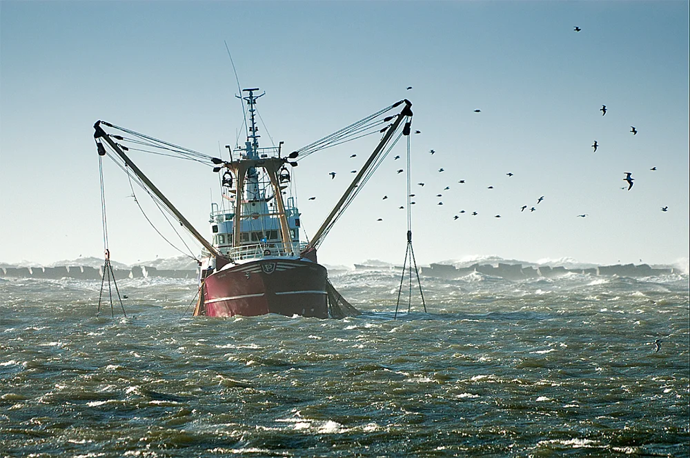 imagem da pesca industrial