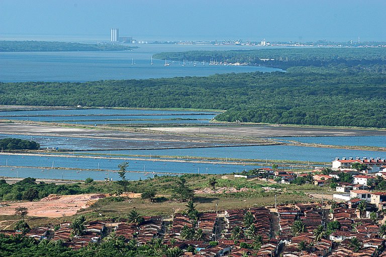 imagem de carcinicultura em joão pessoa