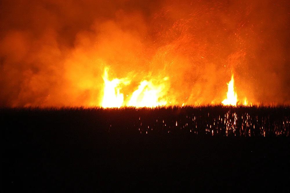 imagem de fogo no canavial do diário de bordo Litorais de Alagoas e Sergipe