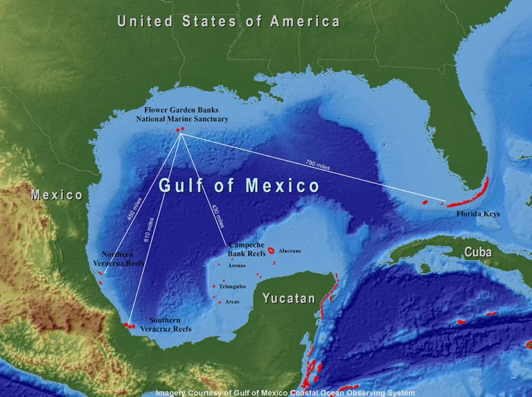 mapa do Golfo do México e berçário de raias manta