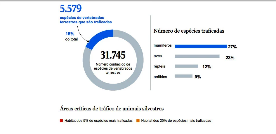 infográfico sobre tráfico de animais silvestres por espécie