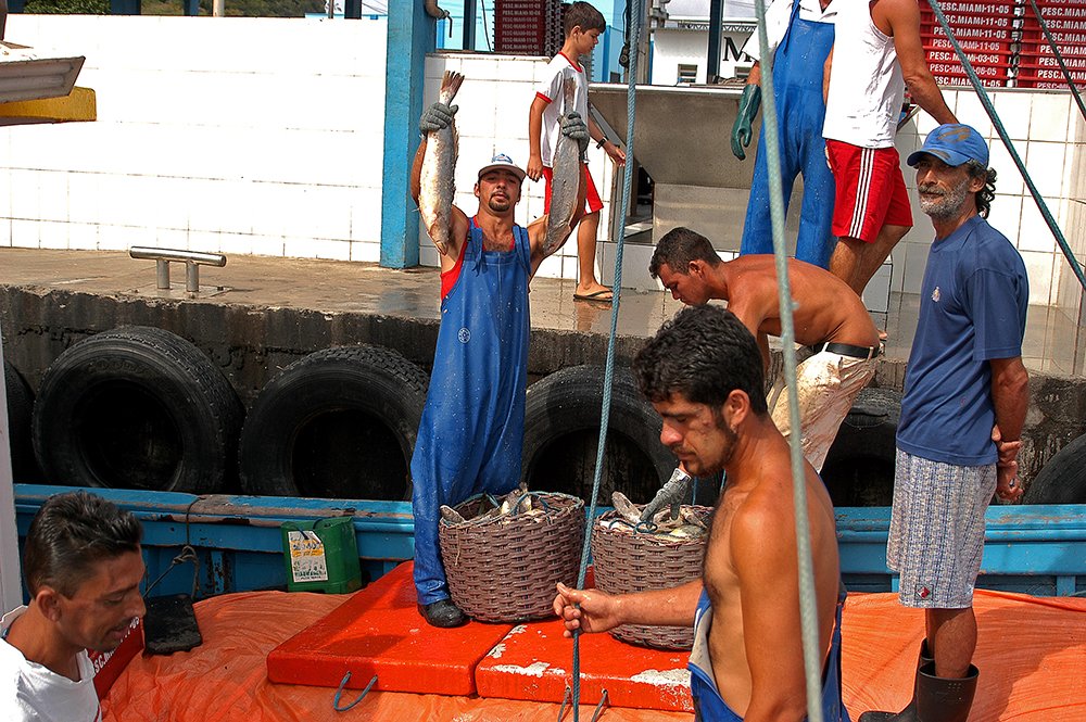 imagem de pescador mostrando peixes capturados