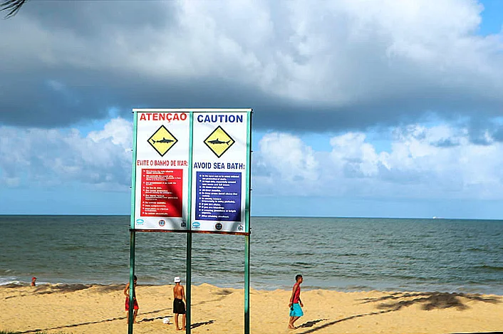 imagem de placa em praia alertando sobre tubarões no Recife