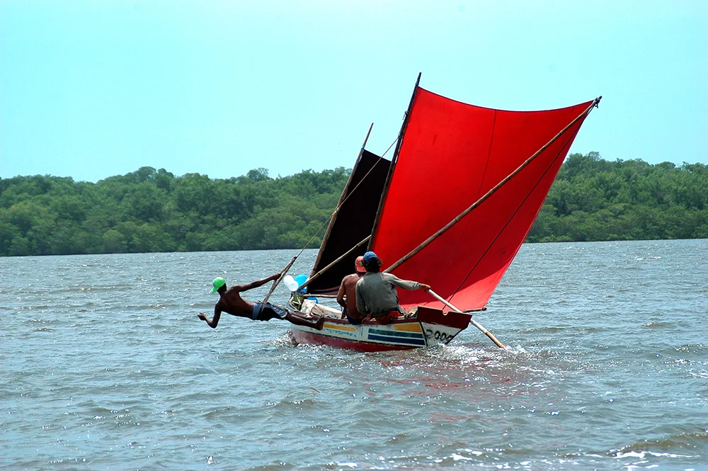 imagem de canoa sergipana com duas velas do diário de bordo Litorais de Alagoas e Sergipe