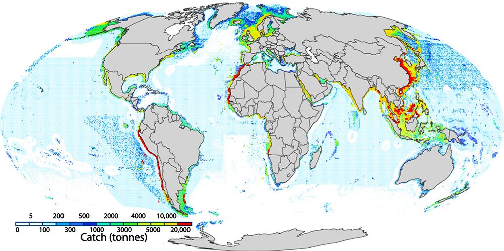 mapa mundi com esforço mundial da pesca nos últimos 150 anos