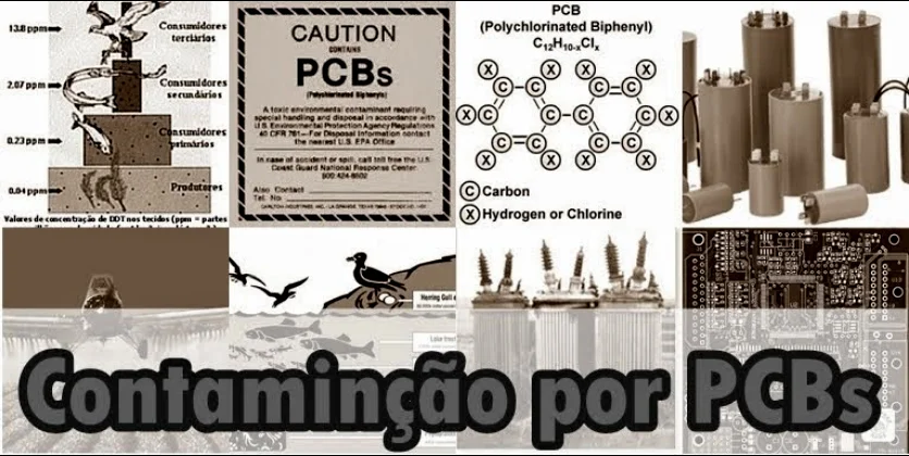 ilustração de poluição por PCBs