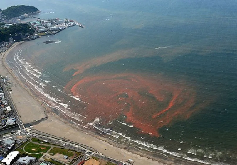 imagem de Maré vermelha em praia do Japão