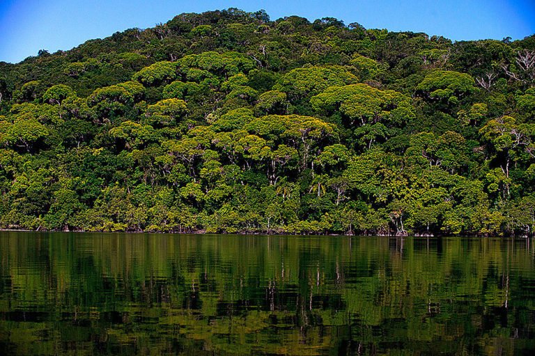 imagem do Parque Nacional do Superagui