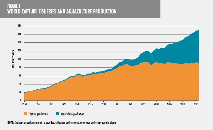 Imagem de gráfico com quantidade mundial da pesca