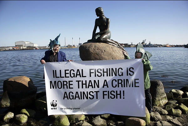 cartaz contra pesca ilegal