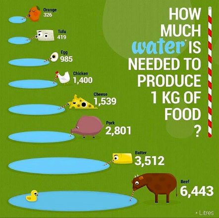 Dia mundial vegano: abraçando um estilo de vida compassivo para um planeta  mais saudável