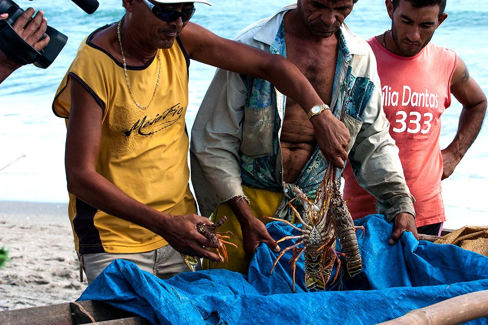 imagem de pescadores artesanais de lagosta