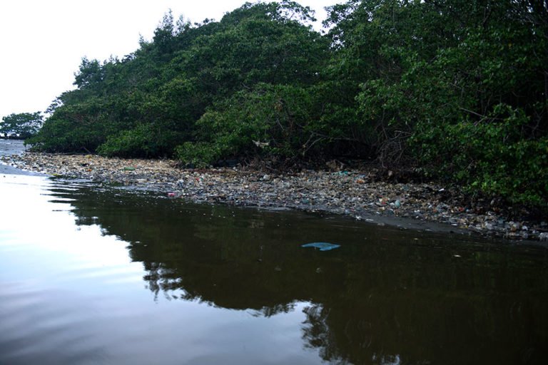 imagem de lixo no mangue da baía de Guanabara