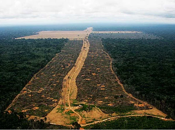 imagem de desmatamento na amazônia