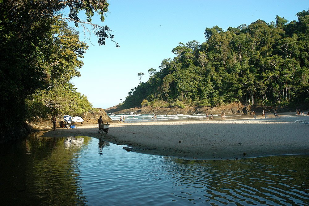 imagem de Praia de Itacaré cercada por Mata Atlântica.