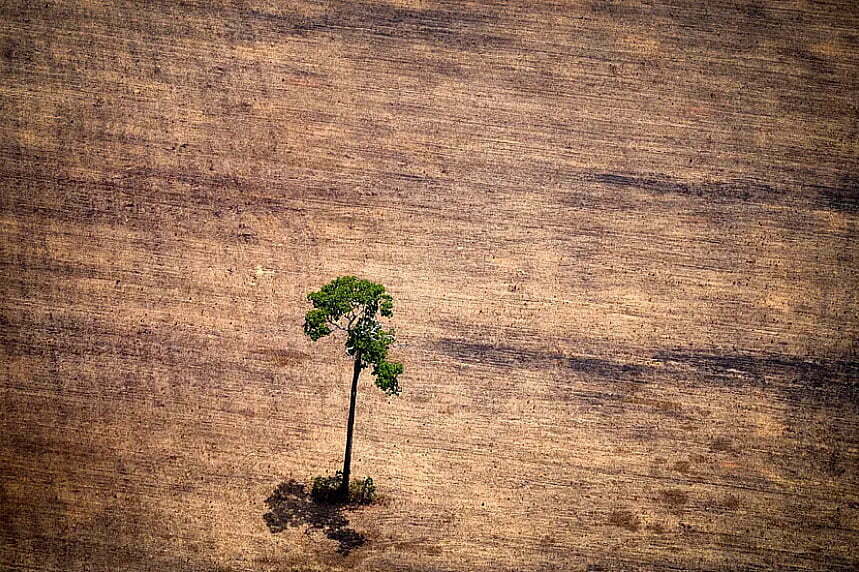 imagem de desflorestamento Amazônia, na era Bolsonaro