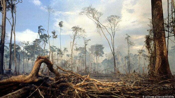 imagem de queimadas na amazônia
