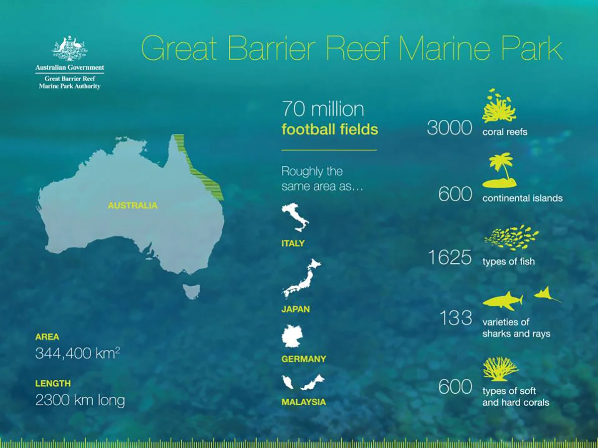 infográfico sobre a Grande Barreira de Corais e a vida marinha