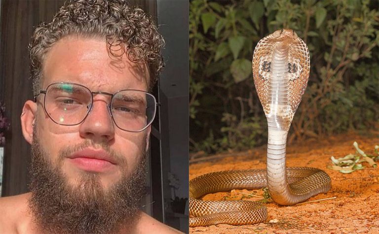 imagem de estudante de Brasília picado por uma naja