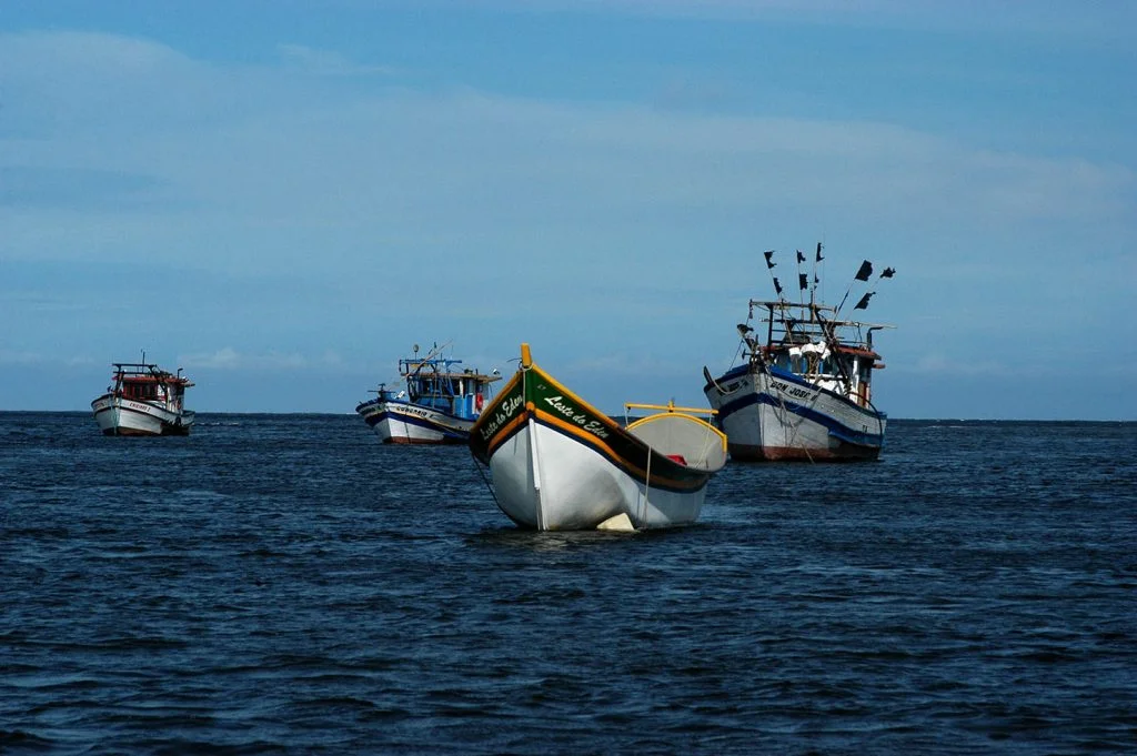 imagem de barcos de pesca na baía de Guaratuba