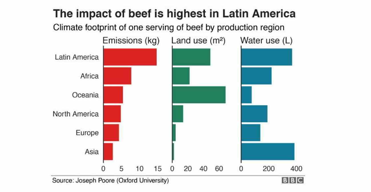 infográfico sobre impactos da carne