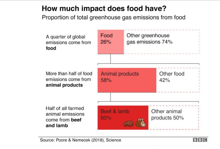 infográfico sobre produção de alimentos e impactos no aquecimento global