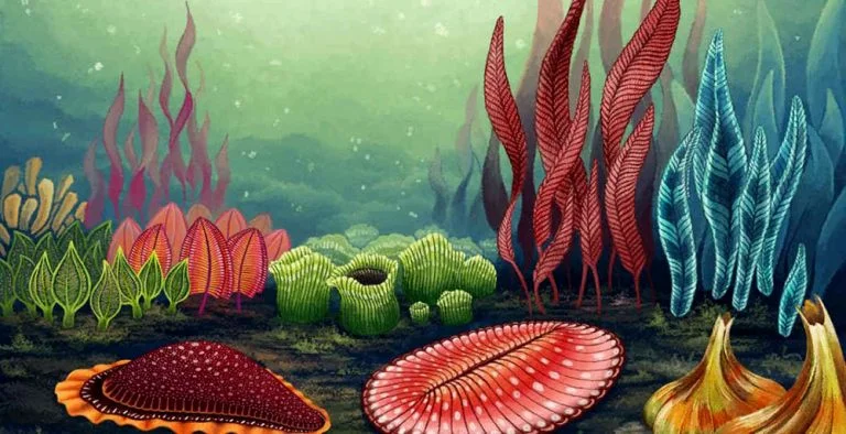 imagem de criaturas marinhas de antes da explosão cambriana.