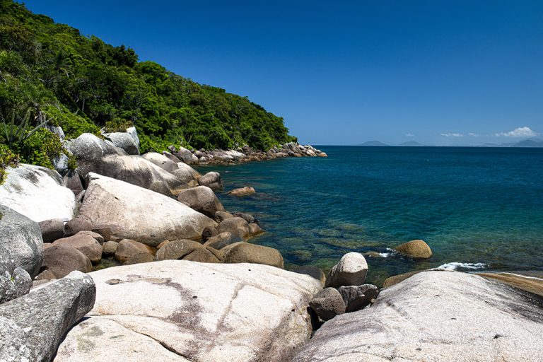 imagem do arquipélago dos arvores dos, santa catarina