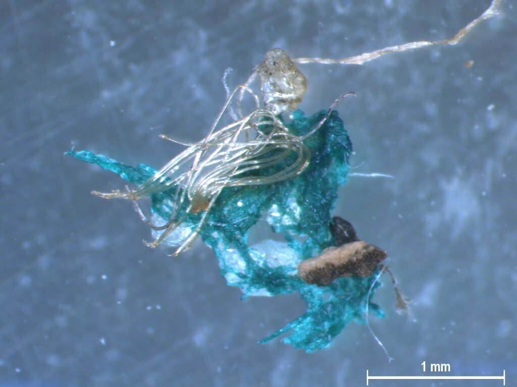 imagem de microplástico