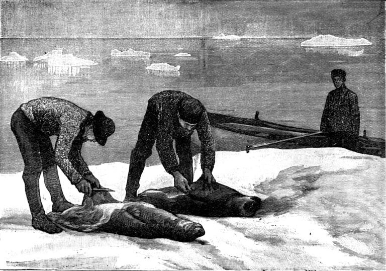 ilustração de caçadores de focas na Antártica no século 19 na História da descoberta da Antártica
