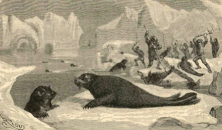 ilustração de caçadores de focas e elefantes-marinhos na Antártica no século 19 na História da descoberta da Antártica