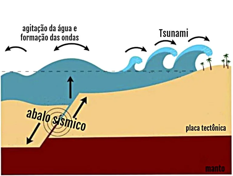 infográfico mostra formação de tsunamis