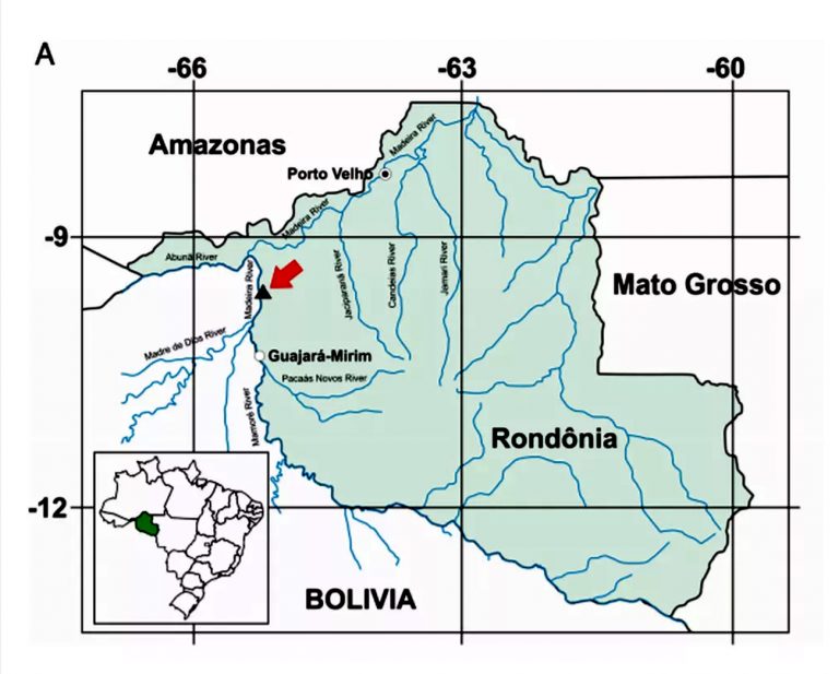 mapa da área onde forma encontrados nova espécie de peixe-boi