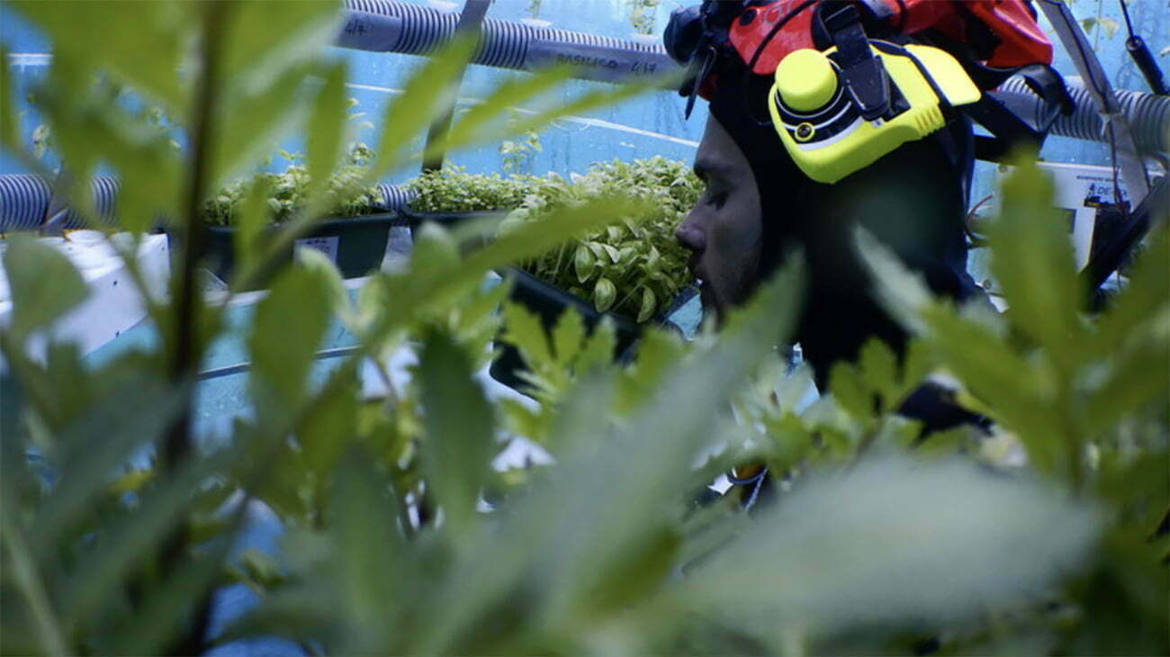 imagem de mergulhador em fazenda subaquática 