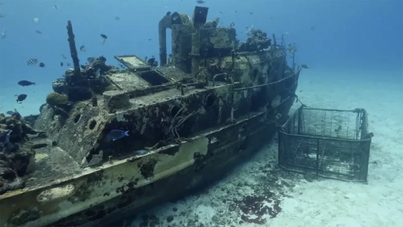 imagem de recife artificial em navio afundado