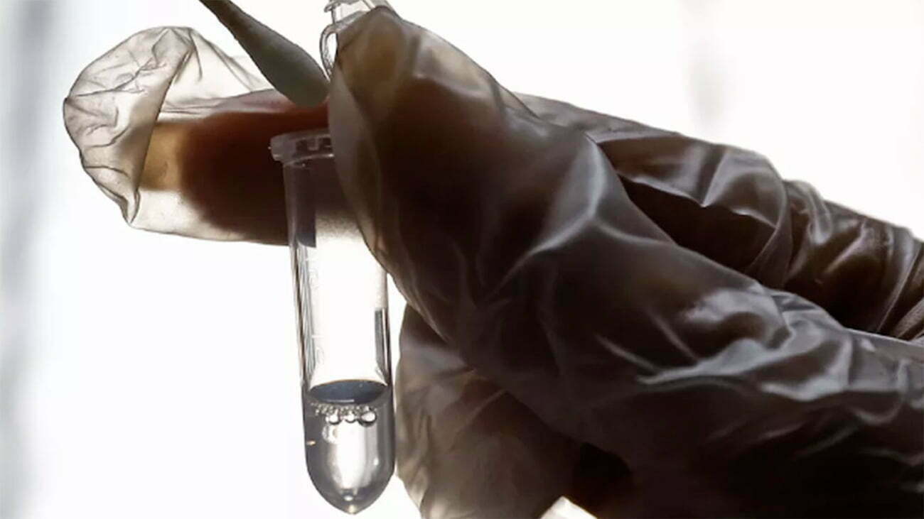 imagem de cientistas testando vacinas