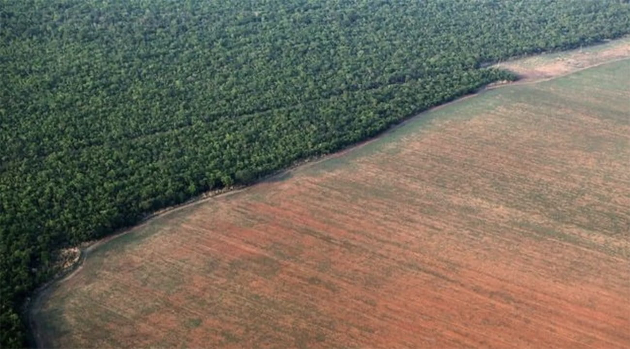 imagem de desmatamento na Amazônia